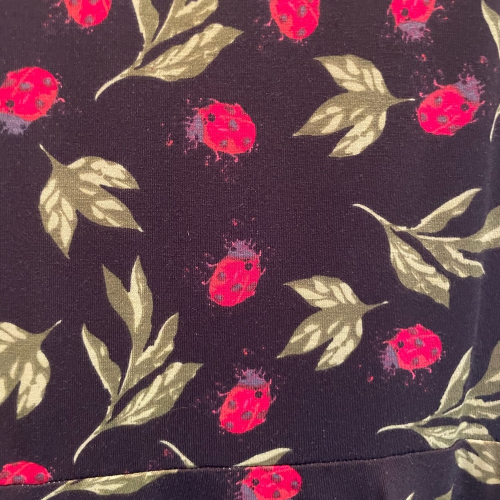 Black Dress with Red Ladybug and Green Leaf Print LuLaroe Nicole
